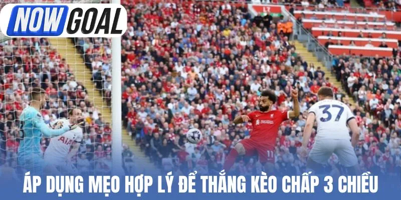 Áp dụng mẹo hợp lý để thắng kèo chấp 3 chiều