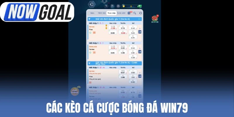 Các kèo cá cược bóng đá Win79