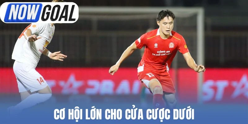 Cơ hội lớn cho cửa cược dưới