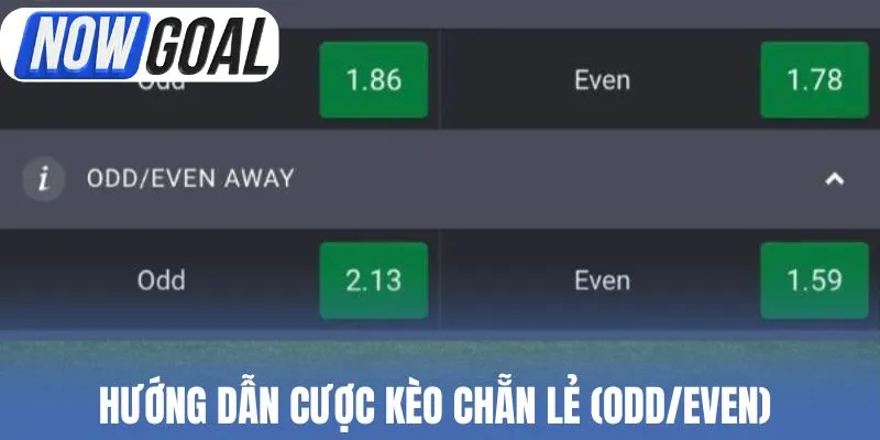 Hướng dẫn cược kèo chẵn lẻ (Odd/Even) 