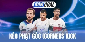 Ưu điểm nổi bật của kèo mang lại