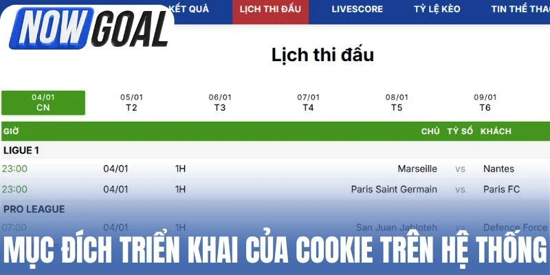 Mục đích triển khai của Cookie trên hệ thống