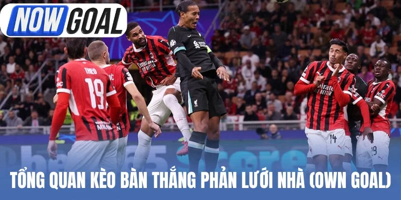 Tổng quan kèo bàn thắng phản lưới nhà (Own Goal)