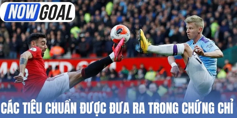 Các tiêu chuẩn được đưa ra trong chứng chỉ