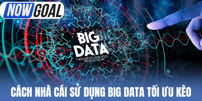 Cách nhà cái sử dụng Big Data tối ưu kèo