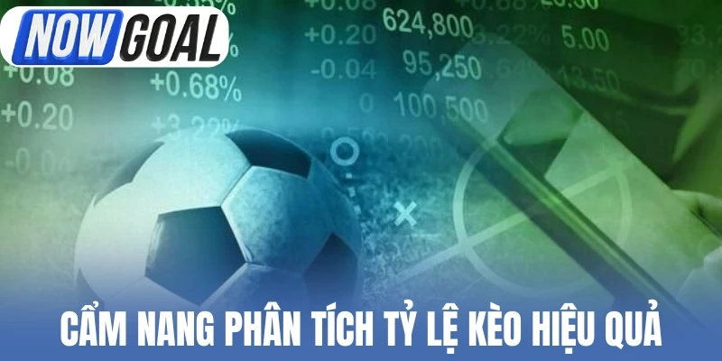 Cẩm nang phân tích tỷ lệ kèo hiệu quả