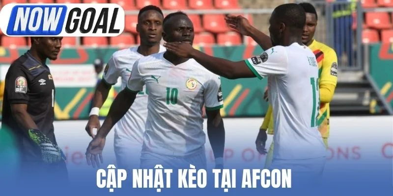 Cập nhật kèo tại AFCON 
