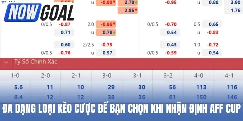Đa dạng loại kèo cược để bạn chọn khi nhận định AFF Cup