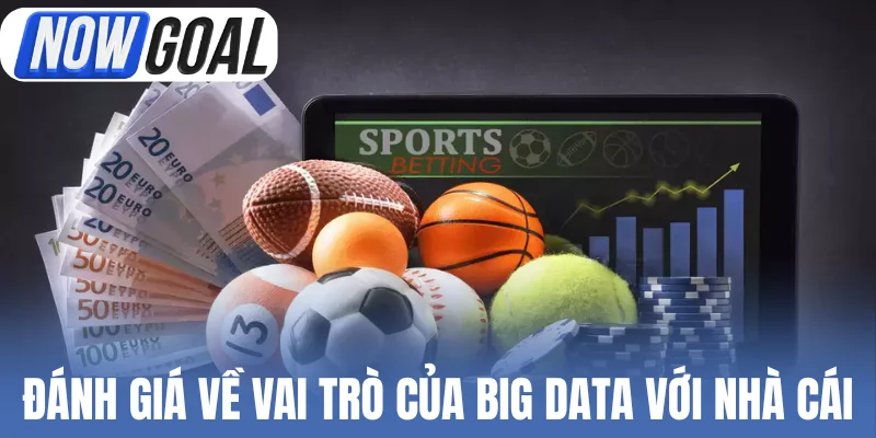 Đánh giá về vai trò của Big Data với nhà cái