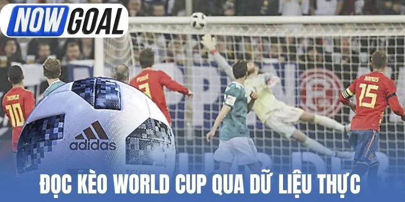 Đọc kèo World Cup qua dữ liệu thực