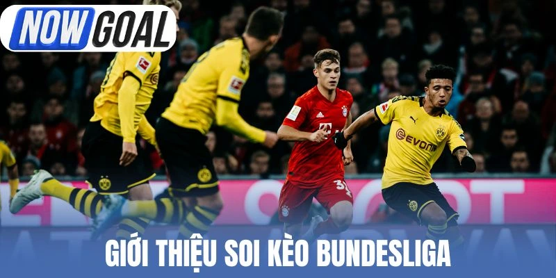 Giới thiệu soi kèo Bundesliga