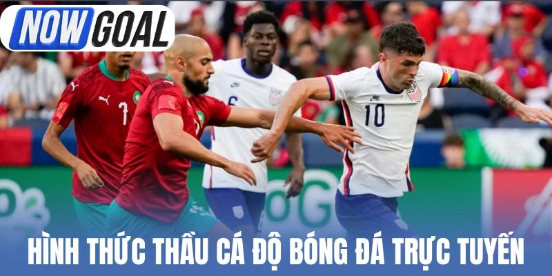 Hình thức thầu cá độ bóng đá trực tuyến