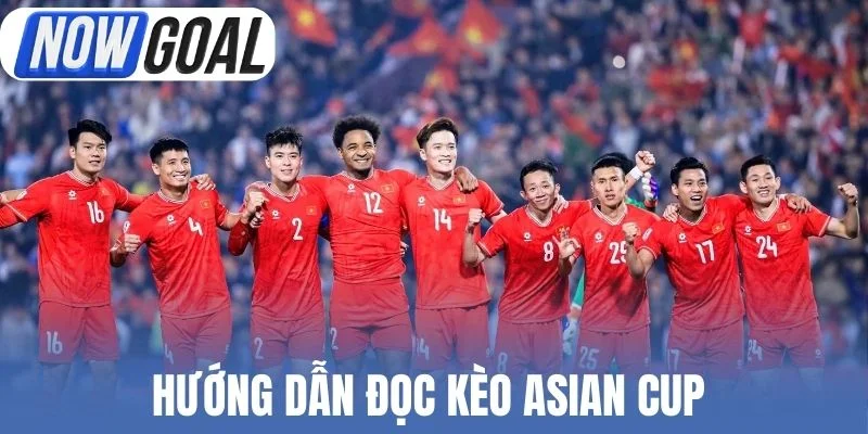 Hướng dẫn đọc kèo Asian Cup 