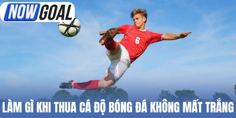 Làm gì khi thua cá độ bóng đá không mất trắng