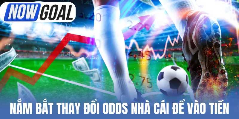 Nắm bắt thay đổi Odds nhà cái để vào tiền