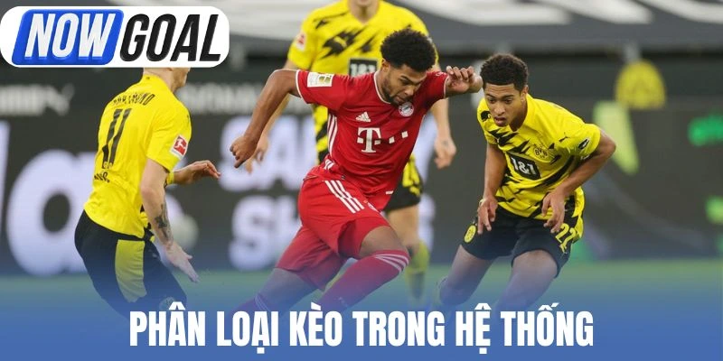 Phân loại kèo trong hệ thống