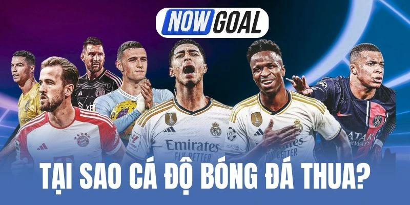 Tại Sao Cá Độ Bóng Đá Thua? Nguyên Nhân Và Mẹo Chốt Kèo Ngon