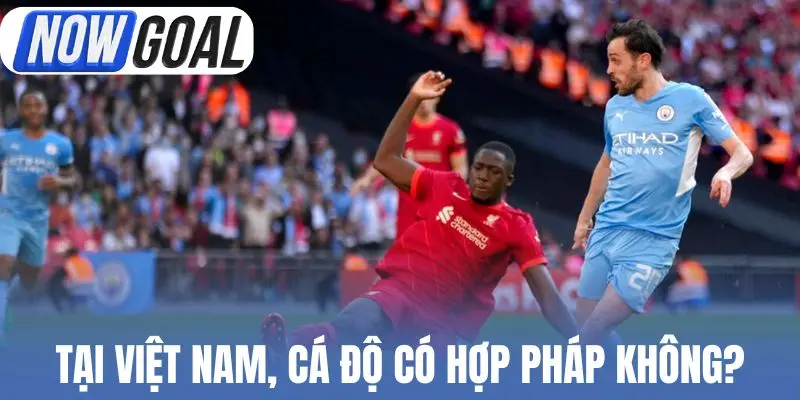 Tại Việt Nam, cá độ có hợp pháp không?