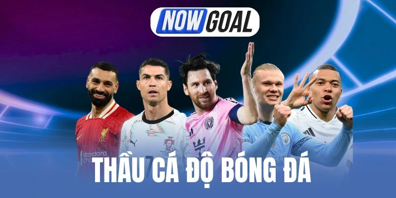 Thầu Cá Độ Bóng Đá Là Gì? Hiểu Đúng Giúp Tránh Khỏi Pháp Lý