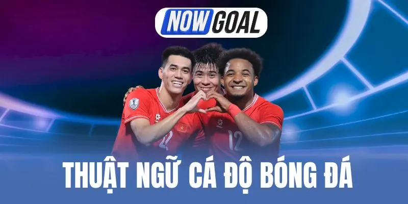 Thuật Ngữ Cá Độ Bóng Đá – Giải Nghĩa Chi Tiết Các Khái Niệm