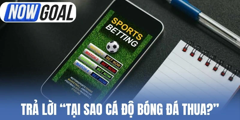Trả lời vấn đề “Tại sao cá độ bóng đá thua?”