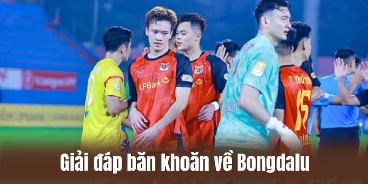 Giải đáp một vài FAQs về bongdalu cho newbie