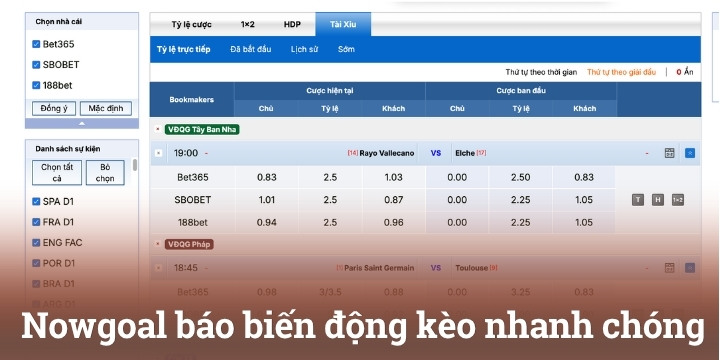 Nowgoal thông báo biến động kèo nhanh chóng