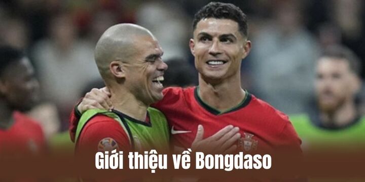 Giới thiệu về trang thể thao bongdaso 2026